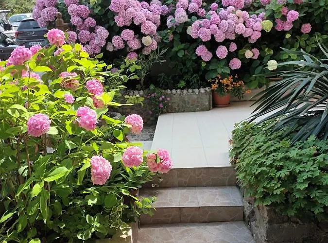 къща катерков בית הארחה 4*